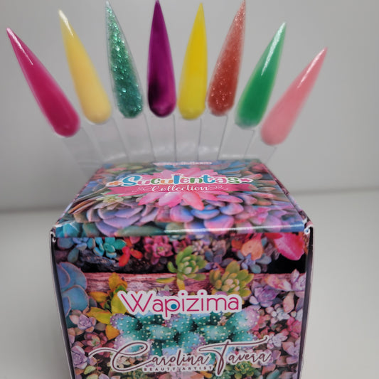 Suculentas COLLECTION