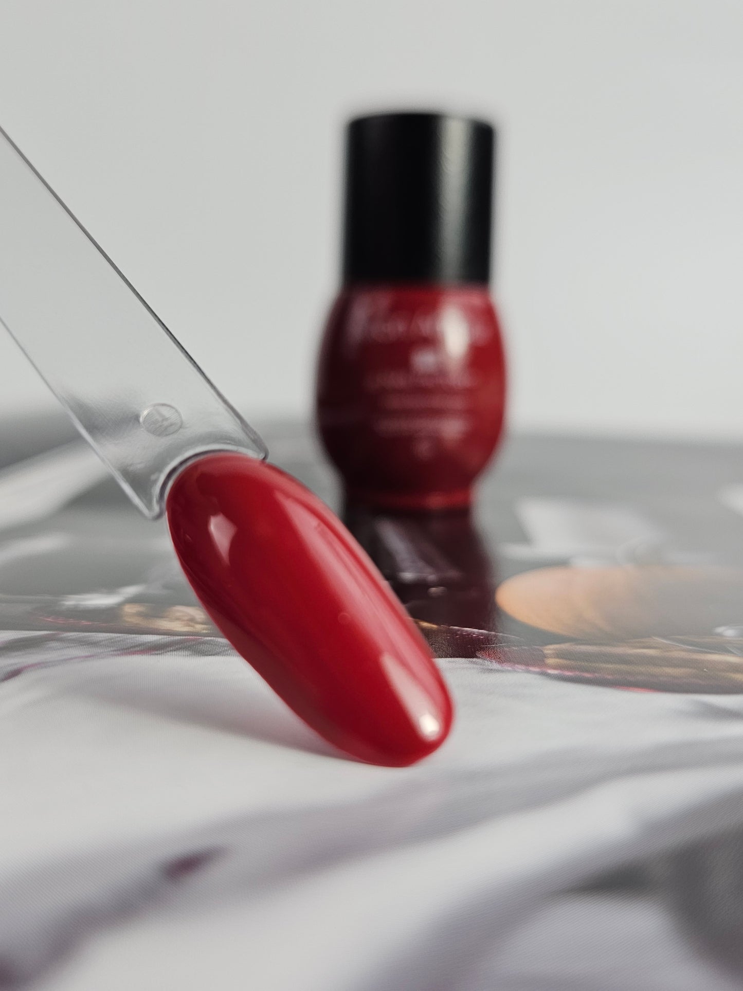 Laccover one shot AUTUMN π